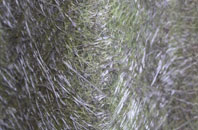 Myerscough fibreglass roof work